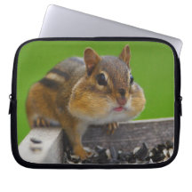 chipmunk fundas ordendadores