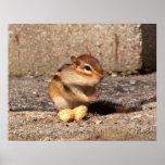 Chipmunk - impresión impresiones