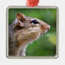 Chipmunk Ornaments Para Arbol De Navidad