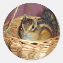 Chipmunk photo　(21) シール・ステッカー