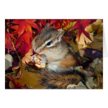 Chipmunk (photo) , Autumn グリーティングカード