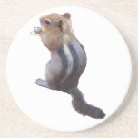 Chipmunk posavasos