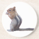 Chipmunk posavasos