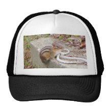Chippie el Chipmunk investiga una cuerda Gorros Bordados