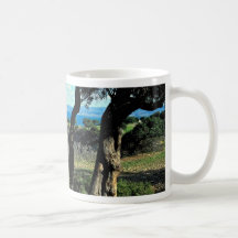 Chipre Taza De Café