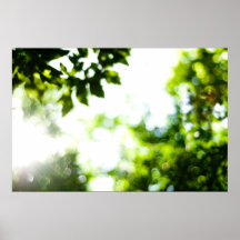 Chispa Poster