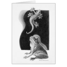Chispas de KIW: Tarjeta de observación del Gecko