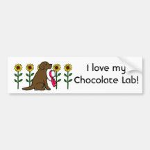 Chocolate Labrador del verano con los girasoles Etiqueta De Parachoque