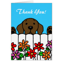 Chocolate Labrador que le mira Tarjetas