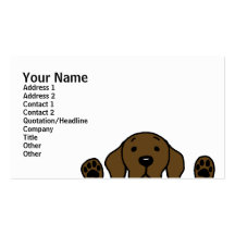 Chocolate Labrador que le mira Tarjetas De Visita