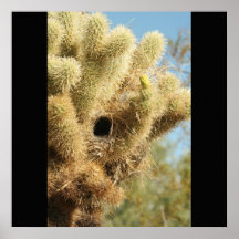 Cholla con los pájaros jerarquiza - la impresión b poster