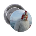 Chookbutton Pin