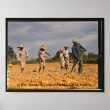 ChoppingCottonInGeorgia, en el algodón de Georgia… Posters