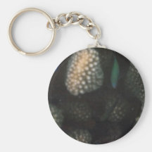 Chromis azulverde (viridis de Chromis) Llavero Personalizado