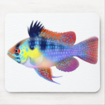 Cichlid azul alemán Mousepad del enano del espolón Alfombrillas De Raton