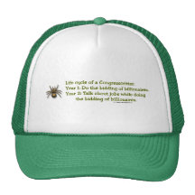 Ciclo vital gorros  
