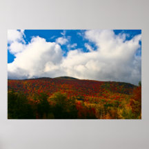 cielo azul del follaje de otoño de New Hampshire Posters