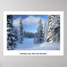 Cielo de la nieve poster