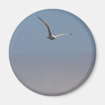 Cielo de las nubes de las gaviotas iman para frigorífico