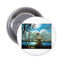 Cielo iluminado por la luna tropical pins