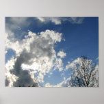 Cielo magnífico poster