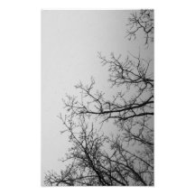 Cielo y árboles entrelazados cojinete