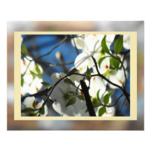 Cielos #3 del Dogwood Foto