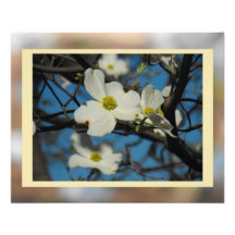 Cielos #4 del Dogwood Arte Fotográfico