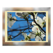 Cielos #5 del Dogwood Impresion Fotografica
