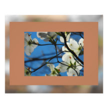 Cielos Choco #5 del Dogwood Fotos