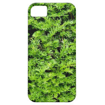 Cierre del arbusto del tejo encima del fondo iPhone 5 Case-Mate protectores