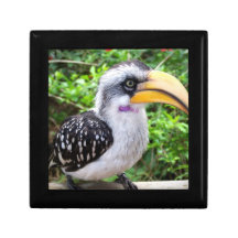 Cierre del pájaro del Hornbill para arriba que mir Cajas De Joyas