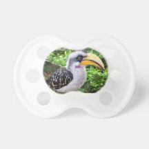 Cierre del pájaro del Hornbill para arriba que mir Chupete De Bebé