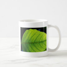 Cierre hermoso de la hoja para arriba tazas de café