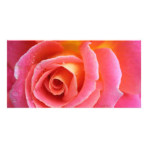 Cierre rosado del rosa de Granada para arriba Tarjeta Con Foto Personalizada