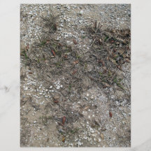 Cierre seco y pedregoso de la hierba de la tierra  tarjetas publicitarias