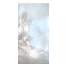 Ciérrese encima de la foto. Imagen de un Seashell. Tarjetas Con Fotos Personalizadas