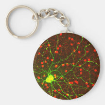 Ciérrese encima de vista de la célula retiniana de llavero personalizado