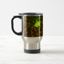 Ciérrese encima de vista de la célula retiniana de tazas de café