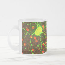 Ciérrese encima de vista de la célula retiniana de taza de café