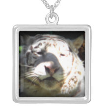 Ciérrese encima del tigre blanco joyería