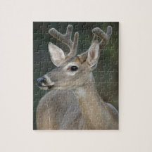 ciervos Blanco-atados (virginianus del Odocoileus) Puzzle