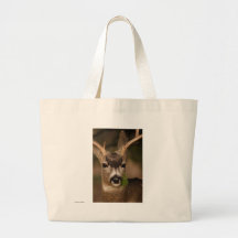 Ciervos Bolsa