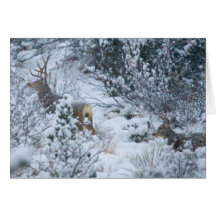 Ciervos en nieve felicitación