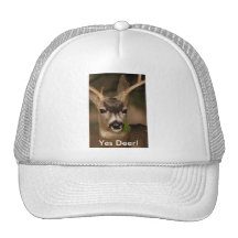 ciervos gorras