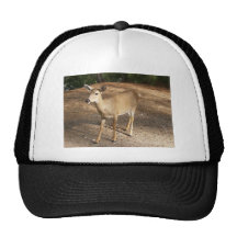 Ciervos Gorras De Camionero