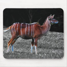 Ciervos Kudu Tapete De Ratón