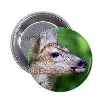 Ciervos - perfil de un ciervo pins