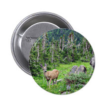 Ciervos Pins