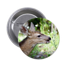 Ciervos Pins